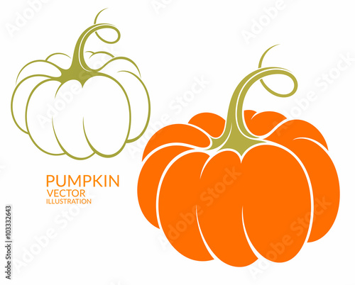 Obraz na plátně Pumpkin