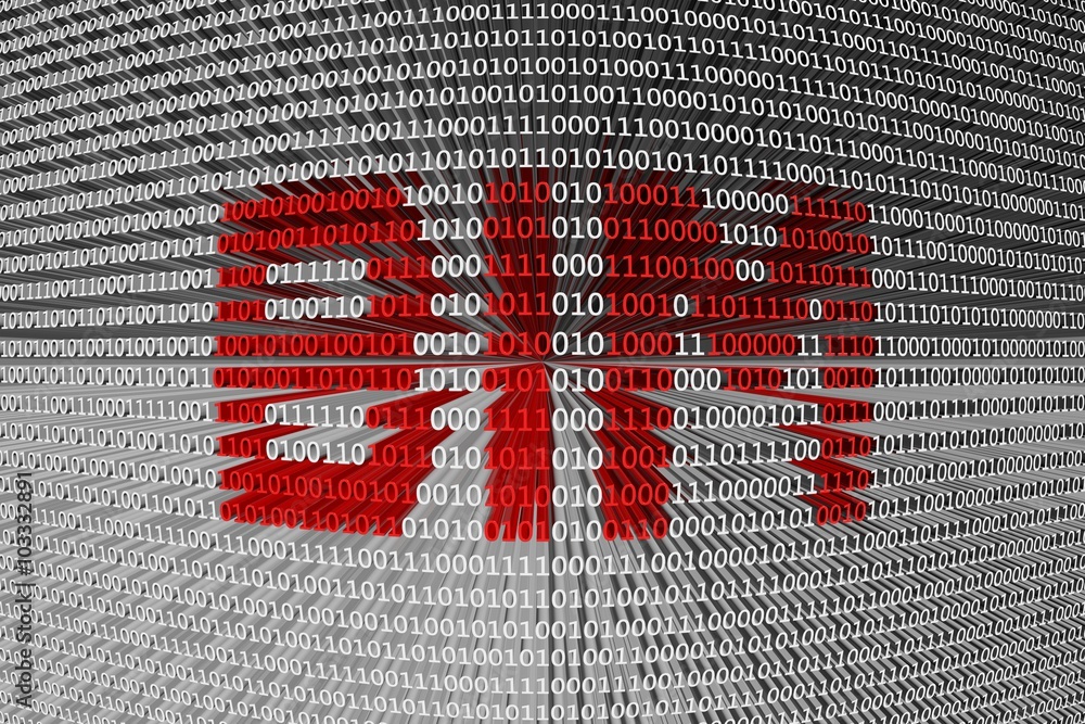 BIM is represented as a binary code BIM is represented as a binary code