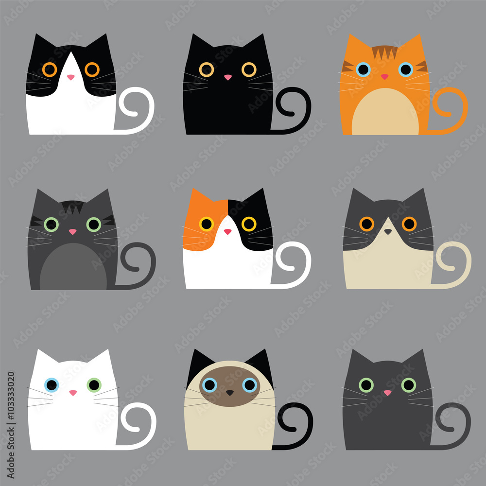 Fototapeta premium various cute cats