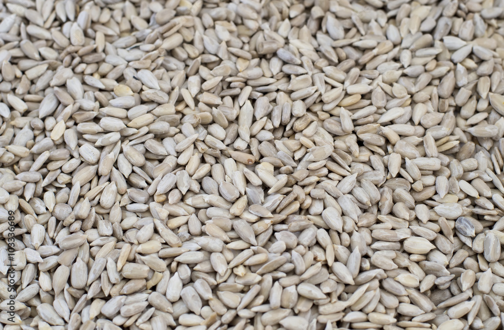 sunflower seeds sunflower seeds