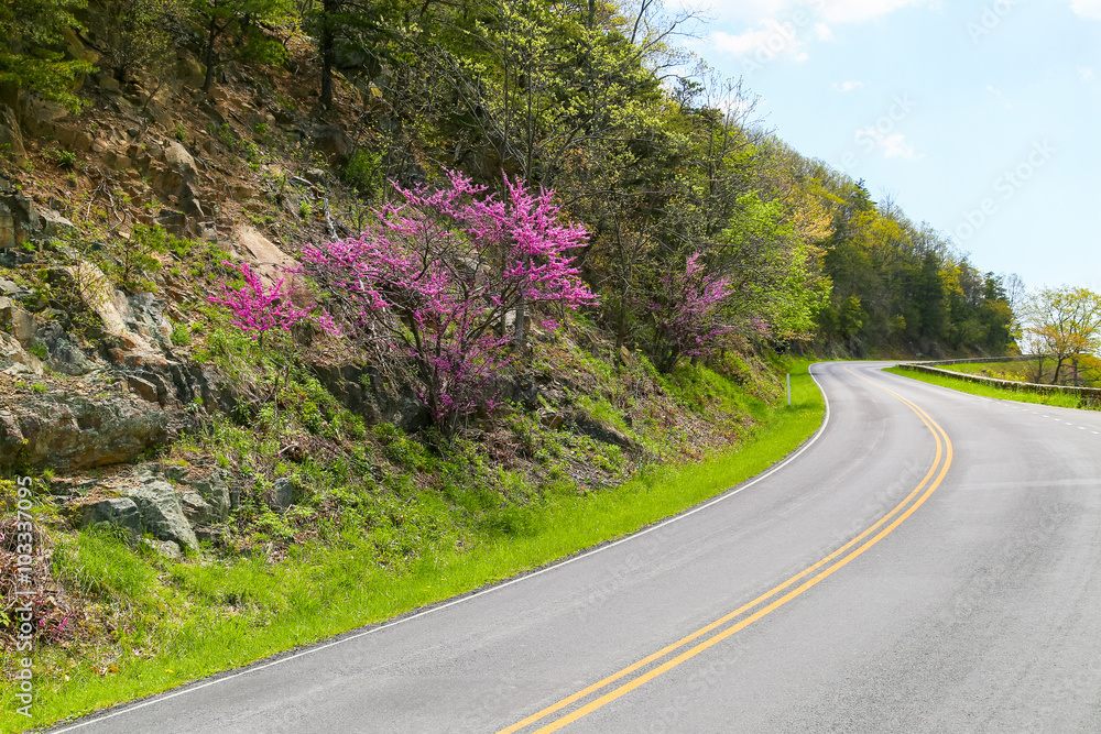 Obraz premium Skyline Drive