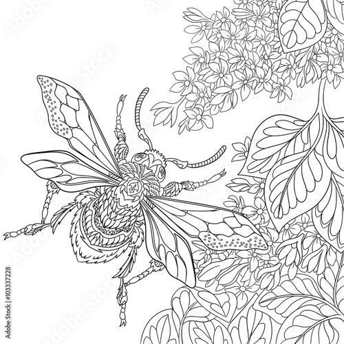 Zentangle stylized cartoon beetle insect flying around sakura flowers. Sketch for adult antistress coloring page. Hand drawn doodle, zentangle, floral design elements for coloring book.