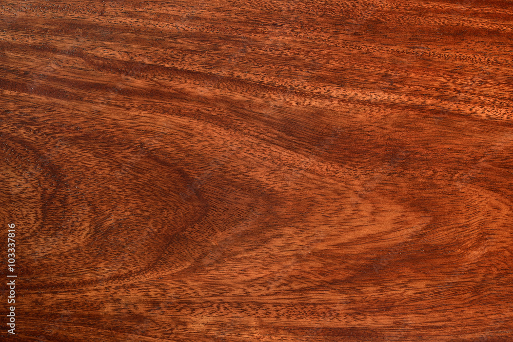 Natural Wood Series /
High resolution image of textured natural wood shot in studio. Natural Wood Series /
High resolution image of textured natural wood shot in studio.