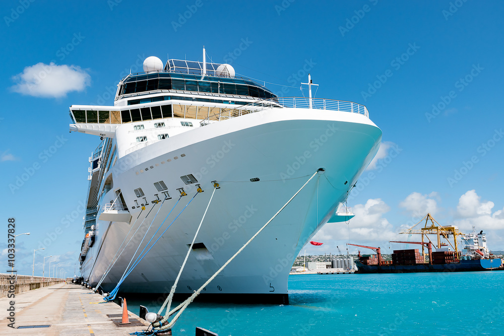 Obraz premium Cruise ship docked at the pier.