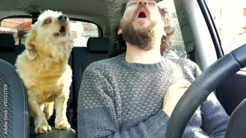 Cute puppy barking happy in car