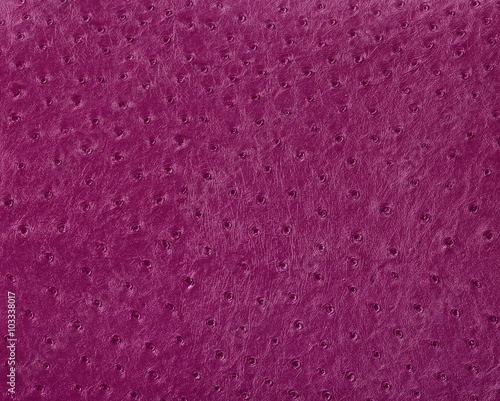 ostrich leather surface