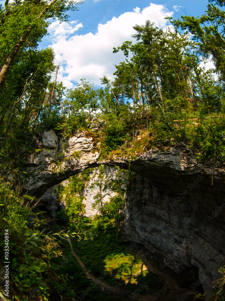 Natural rock bridge in Rakov Skocjan karst valley