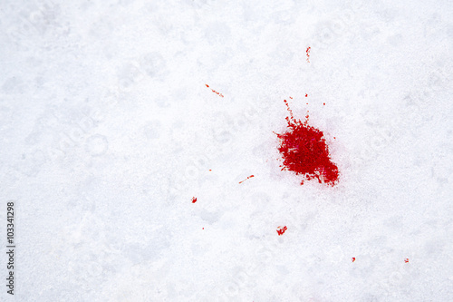 Blood on the snow