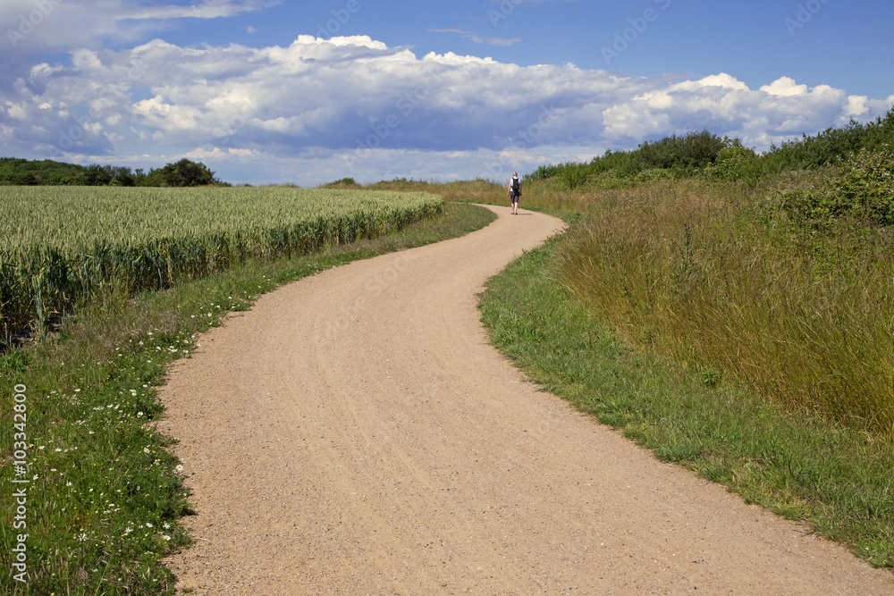 Wanderweg Wanderweg