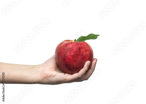 hand holding a green apple