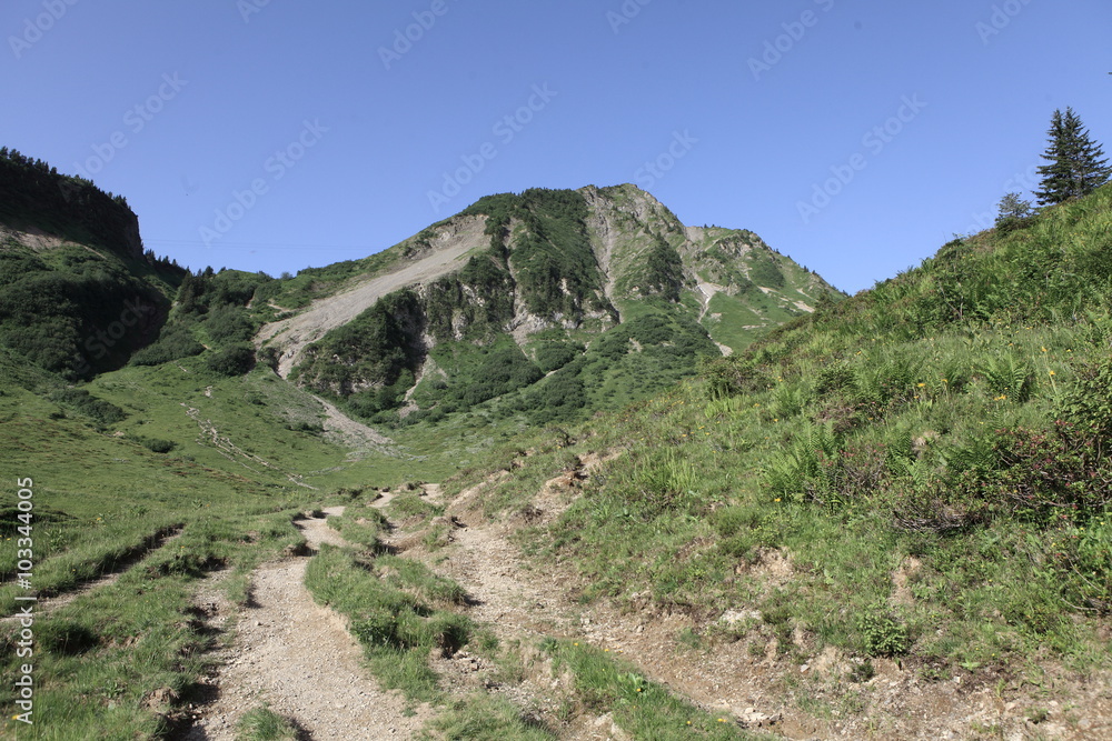Wanderwege am Walmerdinger Horn Wanderwege am Walmerdinger Horn