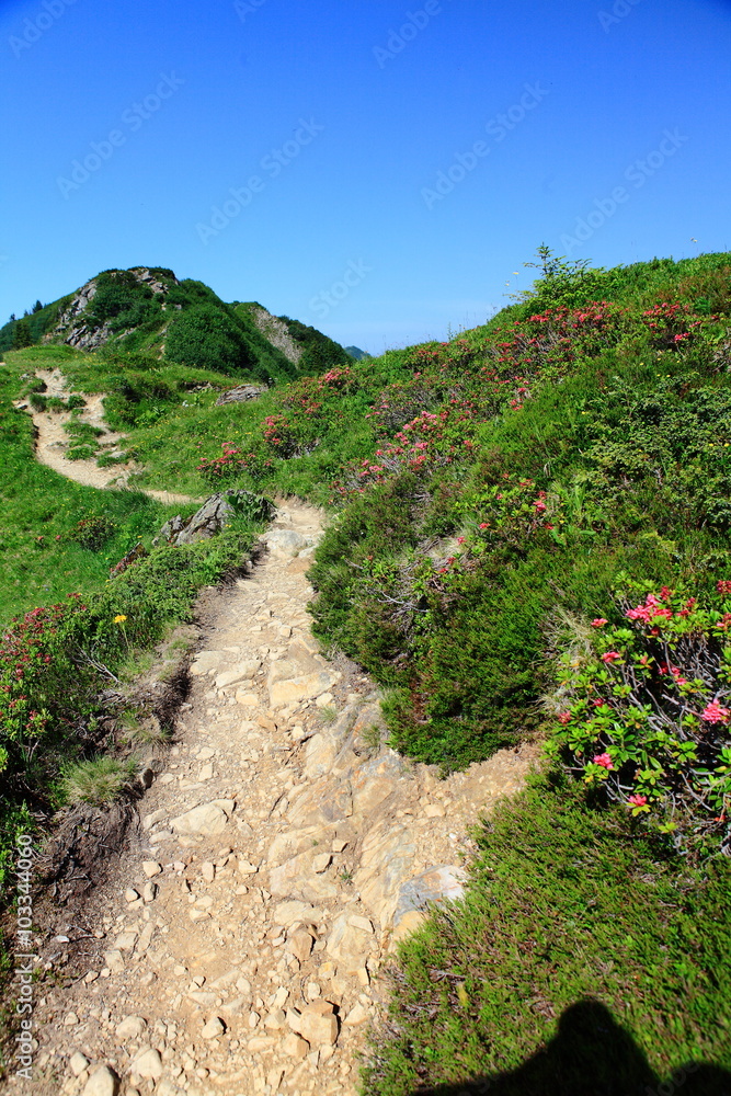 Fototapeta premium Wandern im Grünen