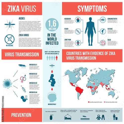 Zika virus infographics. photo