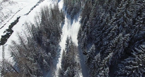 Bosco con alberi innevati - Inverno in Valtellina 4k photo