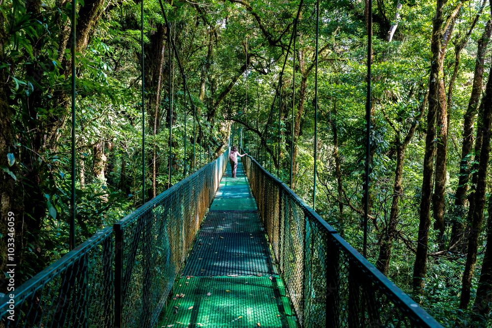Obraz premium Girl on hanging bridge in cloudforest - Monteverde, Costa Rica