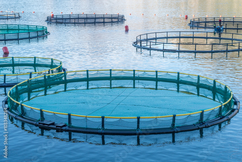 Cages for fish farming