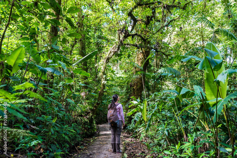 Girl walking on trail in cloudforest - Monteverde, Costa Rica Girl walking on trail in cloudforest - Monteverde, Costa Rica