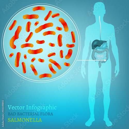 Intestinal infection 01 A-04