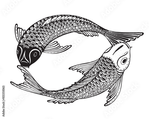 Hand drawn vector illustration of two Koi fishes (Japanese carp)
