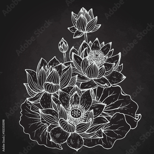 Beautiful monochrome vector floral bouquet of lotus flowers