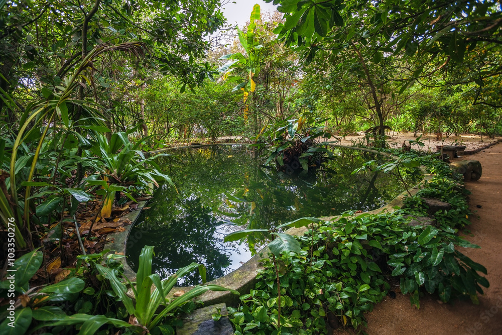 Obraz premium Sri Lanka. Beruwela. Swimming pool in the jungle