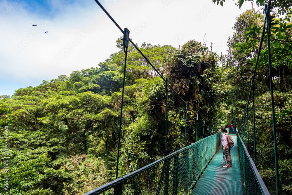 Naklejka premium Girl on hanging bridge in cloudforest - Monteverde, Costa Rica