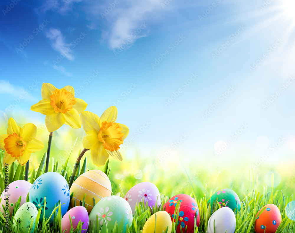 Fototapeta premium Daffodils And Colorful Decorated Eggs On The Sunny Meadow - Easter Holiday Background 