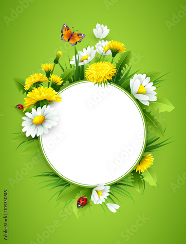 Fresh spring background with grass, dandelions and daisies