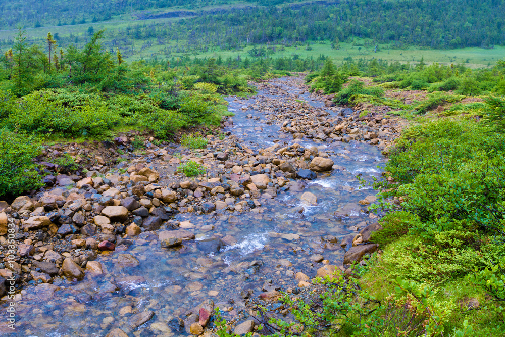 Naklejka premium Beautiful stream