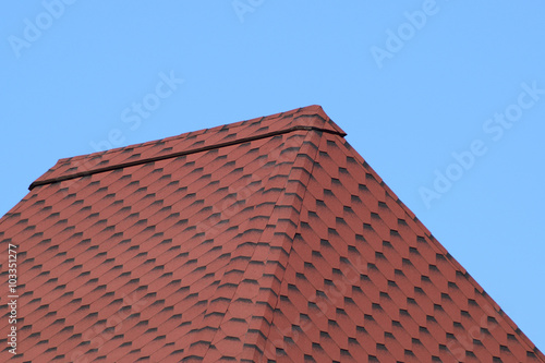 Decorative metal tile on a roof