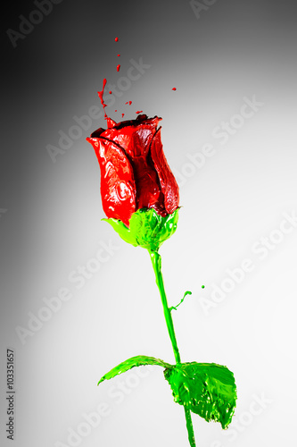 Beautiful red rose made of bursting paint