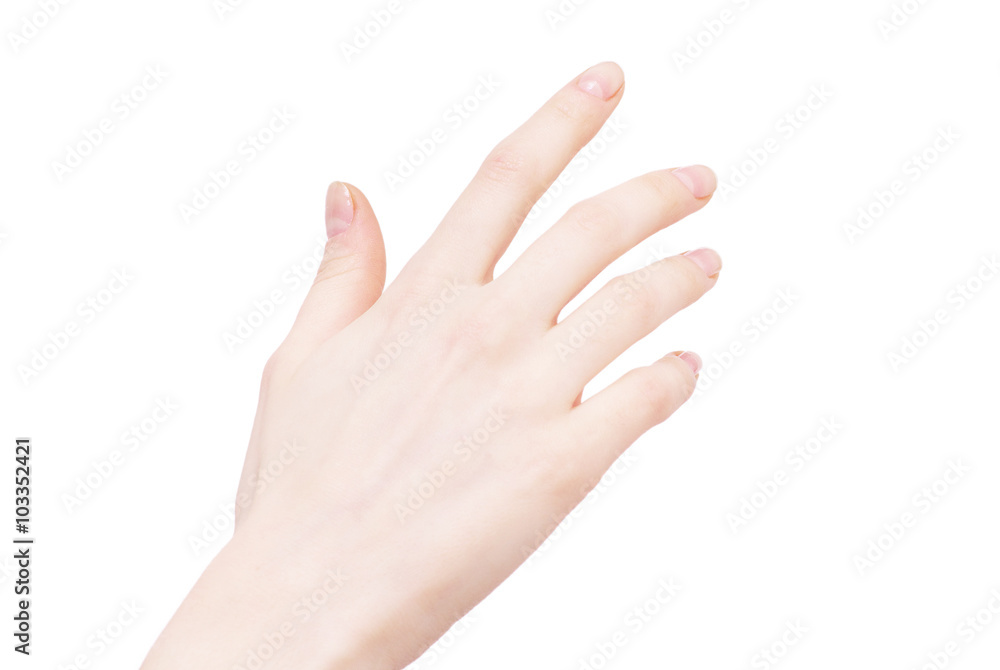  hand