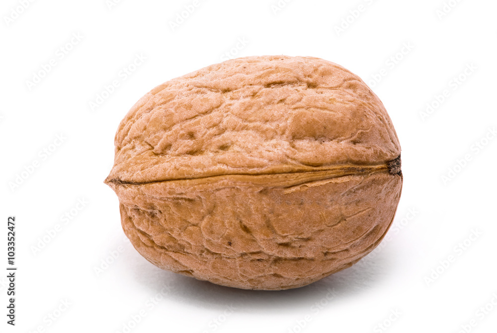 walnut isolated on a white background walnut isolated on a white background