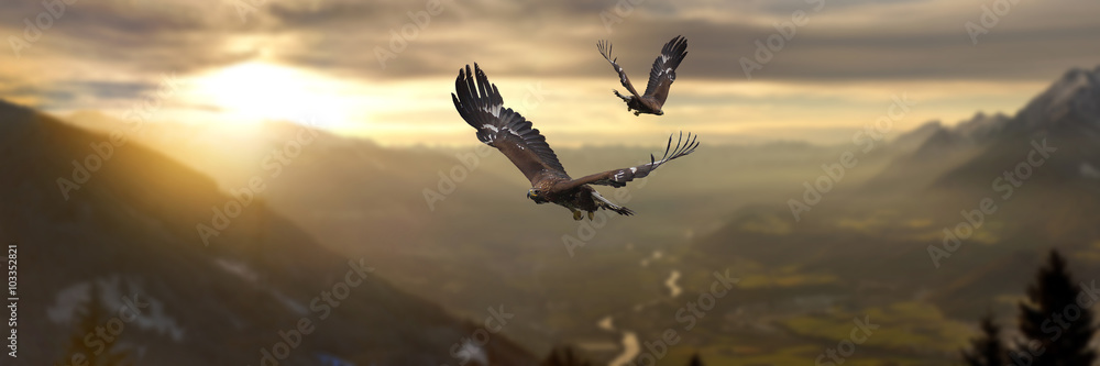 Fototapeta Orły latające nad górami o zachodzie słońca