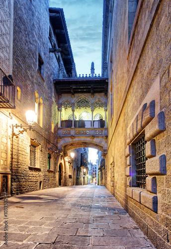 Canvas Print Gothic Quarter. Barcelona. Spain.