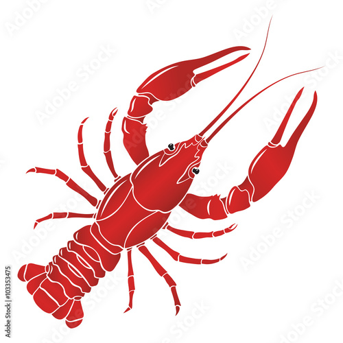 Vector boiled red crayfish, crawfish