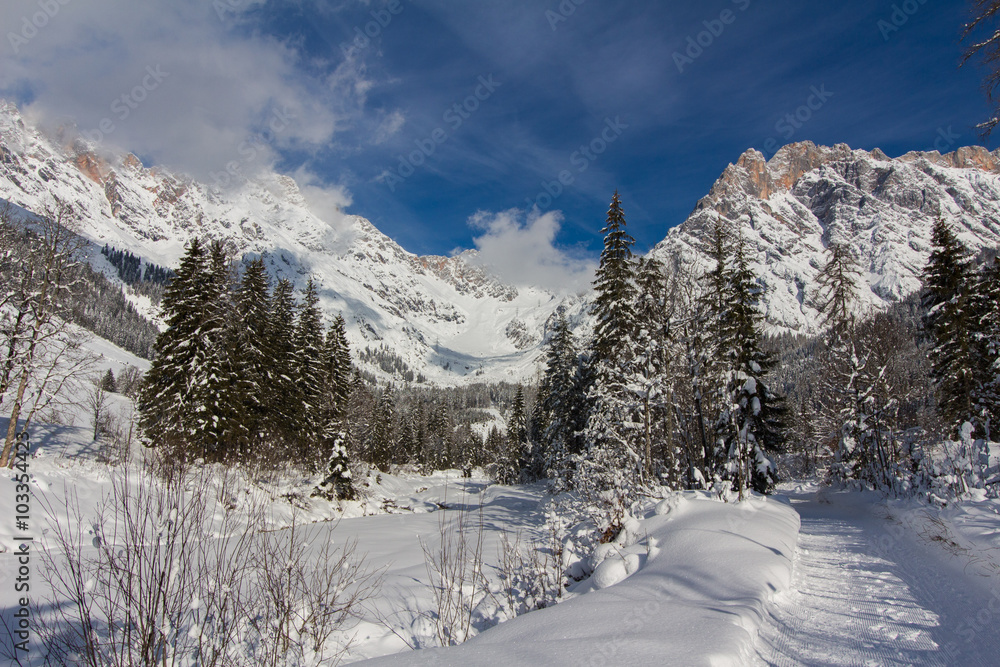 Fototapeta premium Spazierweg, Winterlandschaft in den Bergen