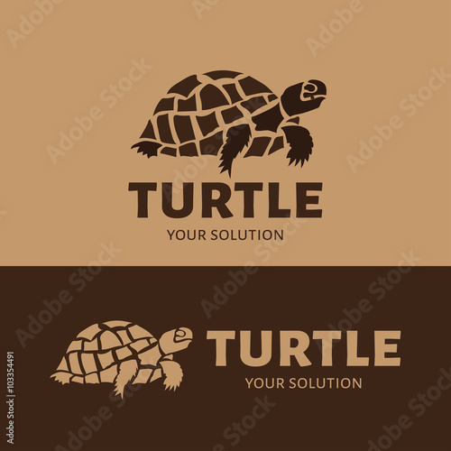 Vector logo turtle. Brand logo in the form of a turtle