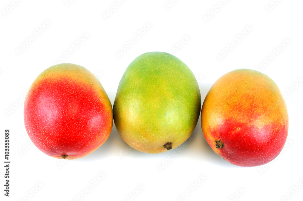 fresh mangoes on white background fresh mangoes on white background