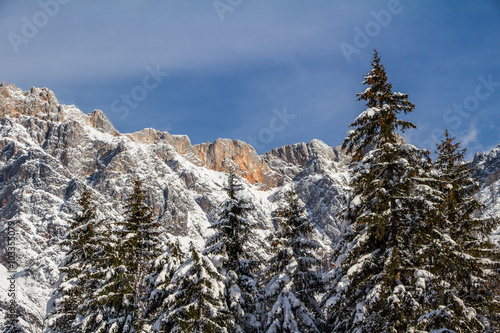 Schneebedeckte Bäume, blauer Himmel, Berge