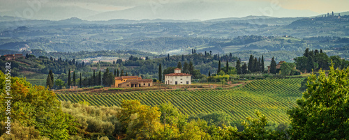 Fields in Tuscany photo