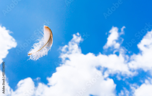 Floating feather in the sky