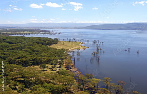Fototapeta Naklejka Na Ścianę i Meble -  Lake Nakuru in Kenya