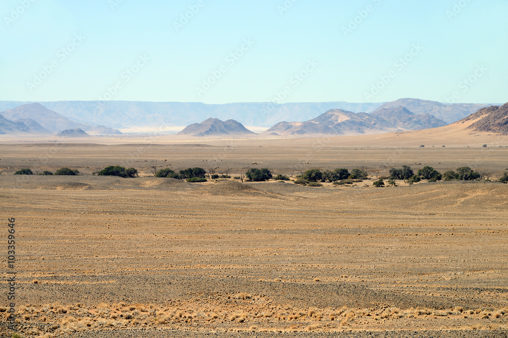 Fototapeta premium Steppe, Namib, Namibia
