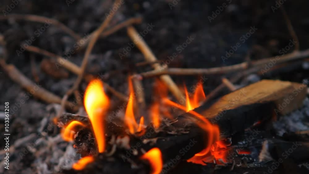 burning wooden beams, close-up