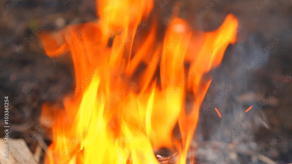 burning wooden beams, close-up burning wooden beams, close-up