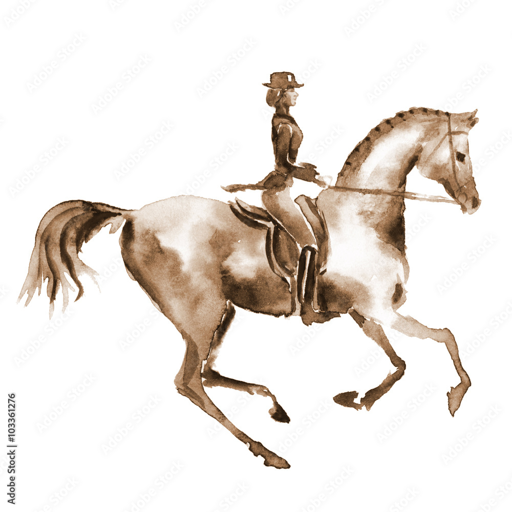Obraz premium Watercolor rider and dressage horse on white. Equestrian sport. Hand painting illustration equine background.