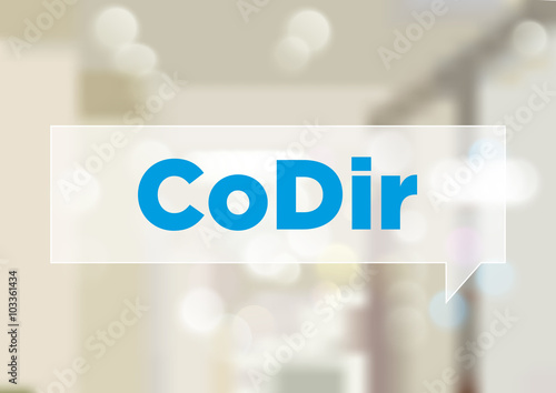 CoDIr - Comité de Direction