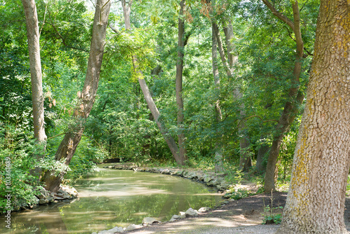 Irrigation system in the reserve  the channel stream in the forest  summer landscape  dense forest