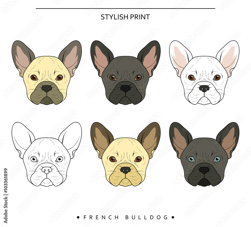 Set goals sketch french bulldog different color . Cute dog for realistic design. Dog Doodle prints for printer on clothes, T-shirts , textiles. Sketch of a French bulldog handmade design Set goals sketch french bulldog different color . Cute dog for realistic design. Dog Doodle prints for printer on clothes, T-shirts , textiles. Sketch of a French bulldog handmade design